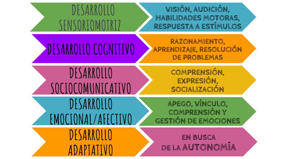 áreas de atención temprana